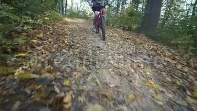 骑自行车的人在森林里经过. 骑自行车的人在森林里经过. 慢动作